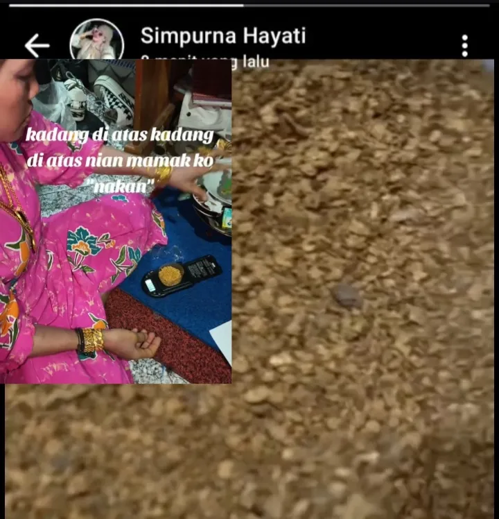 Simpul Hayati Warga Muara Jernih Perusak Alam Pamerkan ke Medsos Hasil PETI