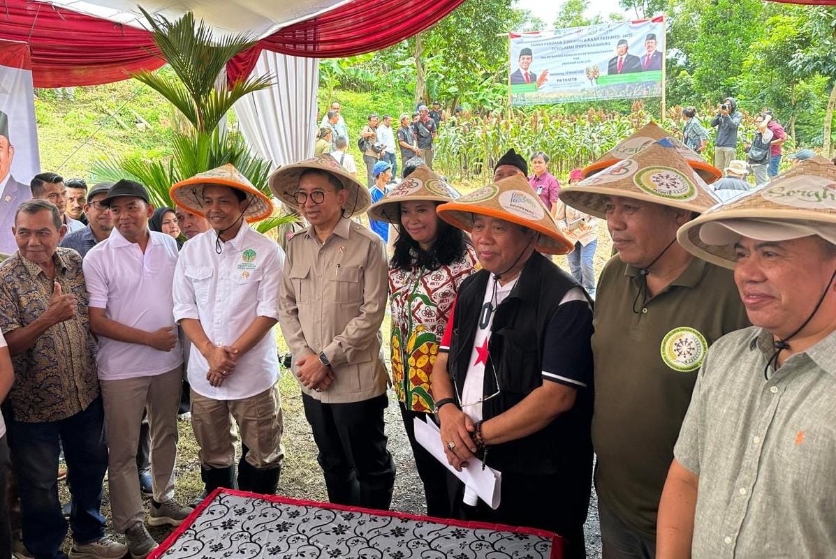 Menhut Raja Juli dan Menbud Fadli Zon, Didampingi H. Taufiq Jalan-Jalan ke Hutan Sosial Panen Sorgum