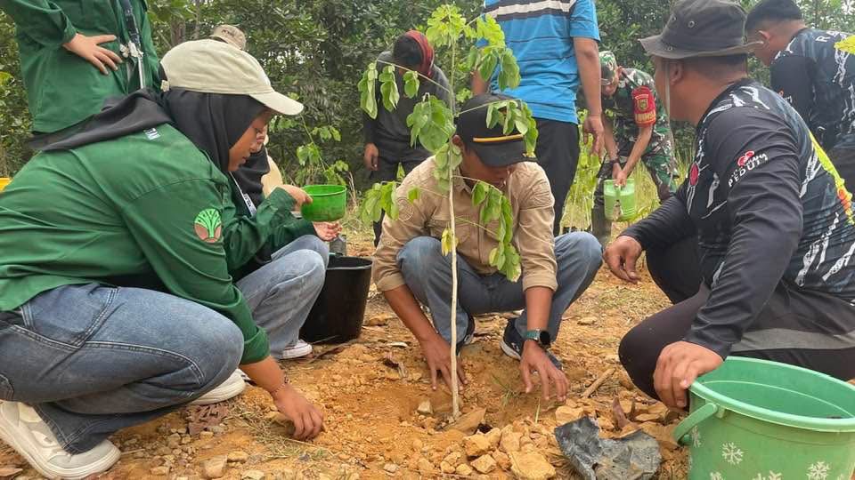 Sepakat Jaga Alam PT Jebus Maju Tanam 200 Pohon, Demi Pulihkan Ekosistem