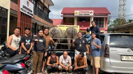 Tiga pelaku dan barang bukti kerbau diamankan polres Merangin 