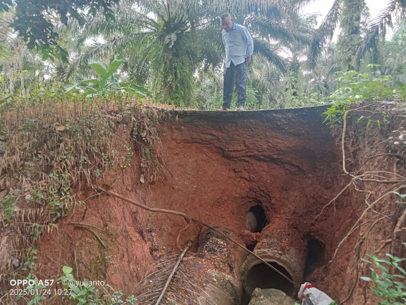 Tampak jalan Poros Desa Rejo Sari rusak Parah / foto Saipan - Transatu