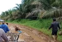 Foto Jalan desa Kota Raja Ulak Makam Kecamatan Tabir Ilir saat rusak parah