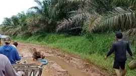 Foto Jalan desa Kota Raja Ulak Makam Kecamatan Tabir Ilir saat rusak parah