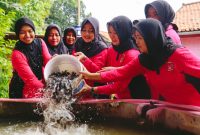 Bhayangkari Pamekasan melakukan pembibitan ikan lele di area asrama Polres Pamekasan, Sabtu (22/02/2025).