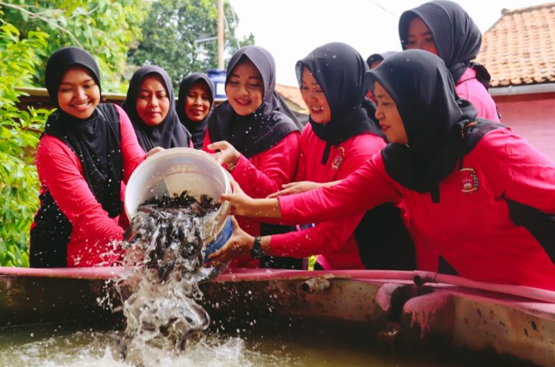 Bhayangkari Pamekasan melakukan pembibitan ikan lele di area asrama Polres Pamekasan, Sabtu (22/02/2025).
