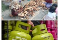 Kelangkaan Gas Elpiji 3 kg dan Kelapa membuat masyarakat menjerit untuk memiliki 