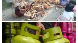 Kelangkaan Gas Elpiji 3 kg dan Kelapa membuat masyarakat menjerit untuk memiliki 