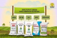 Jenis Pupuk bersubsidi untuk petani.