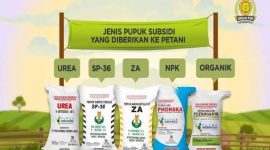 Jenis Pupuk bersubsidi untuk petani.