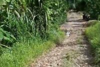 Kondisi jalan yang belum diperbaiki hingga saat ini. (Dok. E. Jazuli Dj)