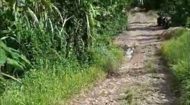 Kondisi jalan yang belum diperbaiki hingga saat ini. (Dok. E. Jazuli Dj)