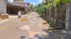 Warga sebut jalan Rantau Limau Manis tabir Ilir bentuk. Kubang kerbau 