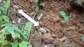 Tampak jelas Limbah bekas obatan Rumah Sakit  Raudah berserakan di pemukiman warga setempat 