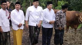 Sekaligus Serahkan Hewan Kurban dari Presiden dan Pemkab Merangin
