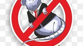 

Berhasil Ungkap Kasus Tanjung Bungur, Kini Kejari Tangani Dugaan Korupsi di PUPR Tebo

