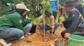 Inilah bentuk komitmen PT Jebus jaga lingkungan 