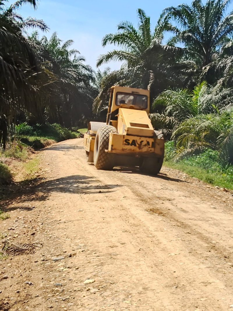 PT sumber guna Nabatin perbaikan jalan petani 