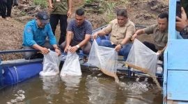 DPR Merangin Siap Kolaborasikan BUMDes Pulau Rengas Ulu dan MBG