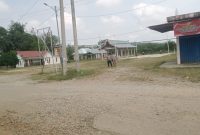 Rencana lokasi Pasar malam RT 03 desa Beluran Panjang 