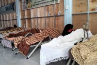 Poto layanan gratis indo therapy 