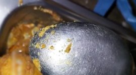 Siswa menunjukkan belatung yang masih hidup dalam porsi makan bergizi gratis