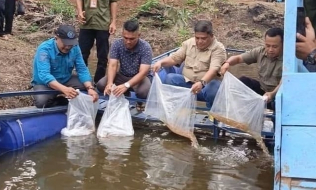 Foto Penyebaran benih ikan/dokumen -transatu id