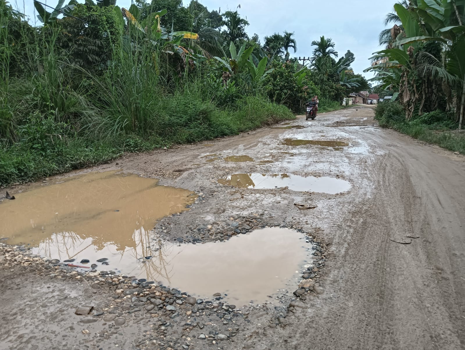Kondisi Ruas jalan rantau panjang Limau Manis memperhatikan 