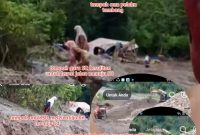 Tampak kegiatan anak sekolah dan guru melewati jalan ke SD terlihat juga alat excavator warna kuning sedang bekerja 