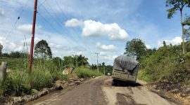 Tronton Angkutan Batu Bara Terperosok ke Dalam Lobang Diruas Jalan- Simpang Niam Lubuk Kambing, Pada Jum'at (3/10/2025). (Dok: jambiprima.com)
