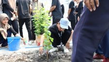 Terlihat mahasiswa Universitas Trunojoyo Madura melakukan penanaman bibit anggur.