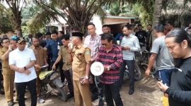 Pimpinan DPRD Tebo saat Sidak ke perkebunan warga yang bermitra dengan PT TI beberapa waktu lalu