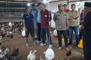 Wakil bupati Merangin kunjungan