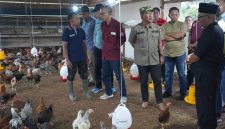 Wakil bupati Merangin kunjungan