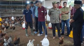 Wakil bupati Merangin kunjungan 