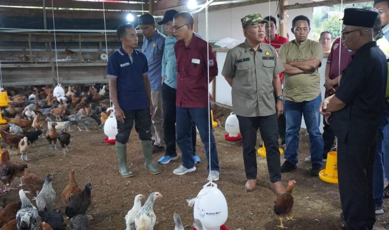 Wakil bupati Merangin kunjungan