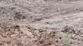 Foto Andri tambang ilegal 