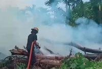 Kebakaran hebat Aur Cino 