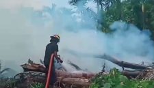 Kebakaran hebat Aur Cino