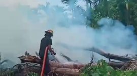 Kebakaran hebat Aur Cino 