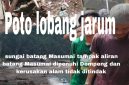 Tampak foto Tembang Lobang Jarum dan sekitar Sungai Batang Masumai berjejer Dompeng Rakit tidak disentuh penegak hukum 