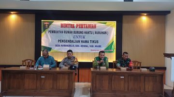 Kendalikan Hama Tikus : Pemerintah Desa Karangrejo Selenggarakan Bimtek Pembuatan Rumah Burung Hantu