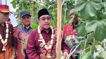 Wabup Sumenep Resmikan Smart Farming Holtikultura Di Desa Kasengan