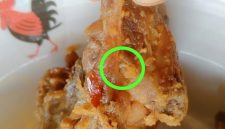 Menu MBG Berulat Dibagikan ke Siswa TK, Dapur MBG SPPG Nurul Haromain