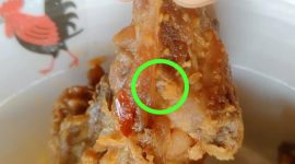 Menu MBG Berulat Dibagikan ke Siswa TK, Dapur MBG SPPG Nurul Haromain