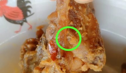 Menu MBG Berulat Dibagikan ke Siswa TK, Dapur MBG SPPG Nurul Haromain