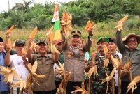 Wabup Kapolres panen jagung 