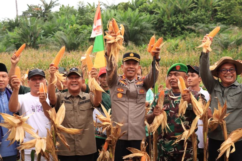 Wabup Kapolres panen jagung 