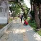 Pekerjaan proyek RTH taman kota masih tetap dilanjutkan 