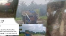 Foto Sabtu 2 Agustus 2925 lubung padi dan kerusakan sawah / dokumentasi transatu.id