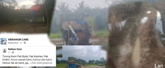 Foto Sabtu 2 Agustus 2925 lubung padi dan kerusakan sawah / dokumentasi transatu.id